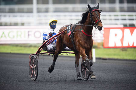 Actualités Hippiques